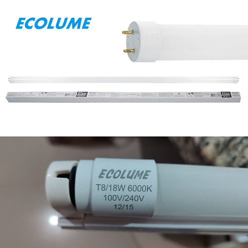 Tubo Led con base
